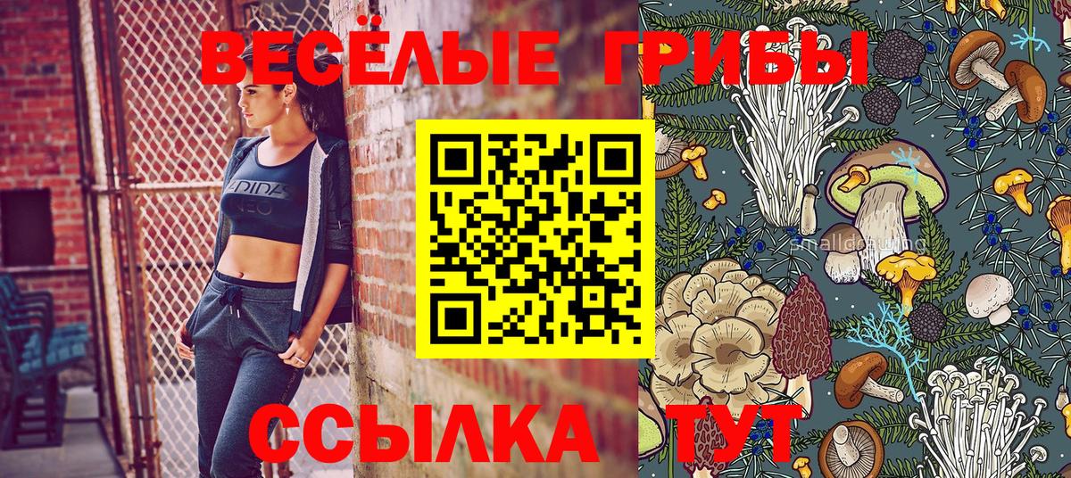 Галлюциногенные грибы мицелий  Волгоград  Галлюциногенные грибы Magic Shrooms 