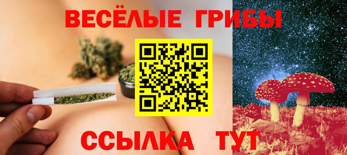 Псилоцибиновые грибы MAGIC MUSHROOMS Волгоград