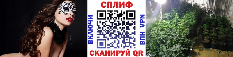 Конопля OG Kush  Волгоград 