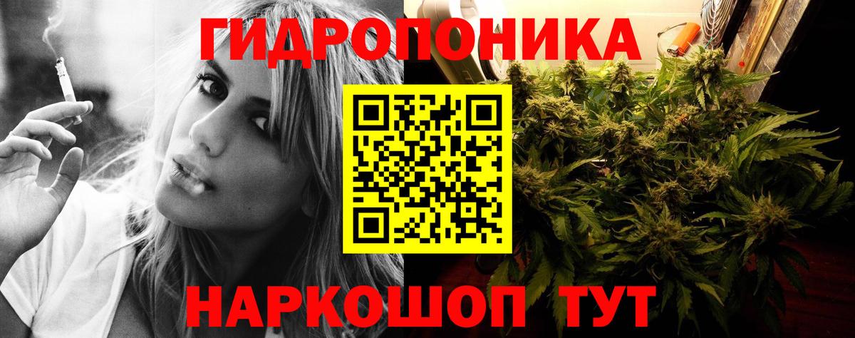 Бошки Шишки AK-47  Канабис AK-47  Бошки Шишки план  Вход с VPN  Волгоград 